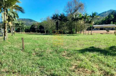 Terreno à venda no Centro, Benedito Novo 