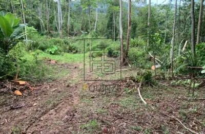 Terreno no alto são bernardo em rio dos cedros 126mil m²