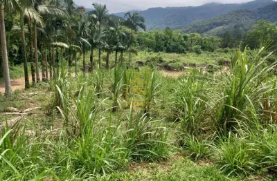 Terreno à venda no Centro, Benedito Novo 