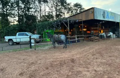 Chácara / sítio com 1 quarto à venda na Hk, 1, Área Rural de Rolândia, Rolândia