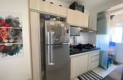 Apartamento com 1 quarto à venda na Rua Toríbio Arroyo Valero, 800, Jardim Ouro Verde, São José do Rio Preto