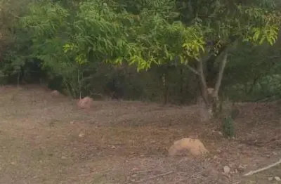 Terreno à venda na Chácara Carolina, Itu 
