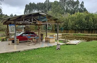 Chácara para venda em são josé dos pinhais, roça velha