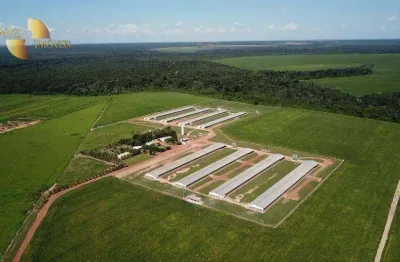 Chácara à venda, 900000 m² por r$ 15.000.000,00 - zona rural - lucas do rio verde/mt