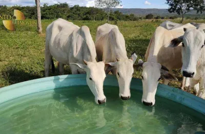 Fazenda à venda, 5080000 m² por r$ 16.000.000,00 - vila bom jardim - nobres/mt