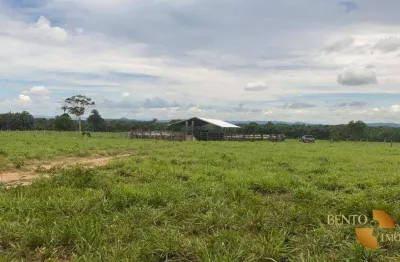 Fazenda à venda, 1740000 m² por r$ 5.000.000,00 - zona rural - cuiabá/mt