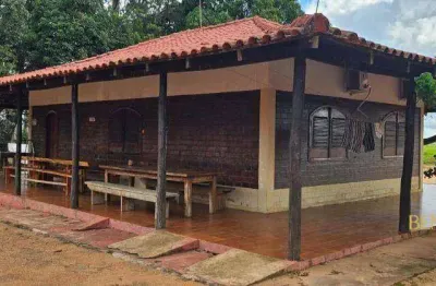 Fazenda de alta produção à venda em campo verde – mt