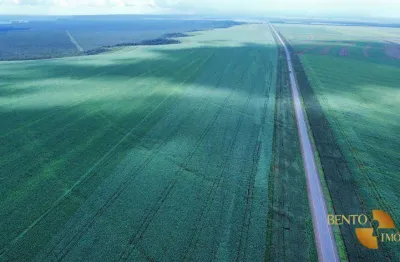 Fazenda à venda, 56000000 m² por r$ 291.600.000 - zona rural - diamantino/mt