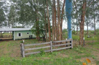 Fazenda à venda, 13800 m² por r$ 165.000.000 - zona rural - santo antônio do leste/mt