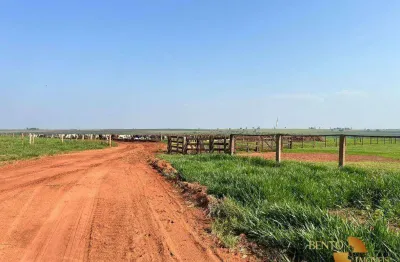 Fazenda à venda, 20200000 m² por r$ 133.000.000 - zona rural - navirai/ms