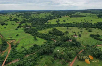 Fazenda à venda, 17220000 m² por r$ 51.000.000 - zona rural - poxoréu/mt