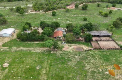 Fazenda à venda, 10060000 m² por r$ 21.000.000,00 - zona rural - general carneiro/mt
