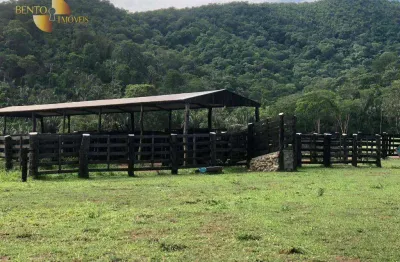 Fazenda à venda, 10360000 m² por r$ 25.000.000,00 - zona rural - santo antônio do leverger/mt