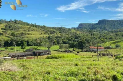 Fazenda à venda, 10060000 m² por r$ 19.000.000,00 - zona rural - dom aquino/mt