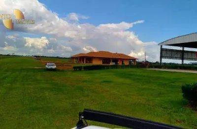 Fazenda à venda, 115000000 m² por r$ 299.000.000,00 - zona rural - comodoro/mt