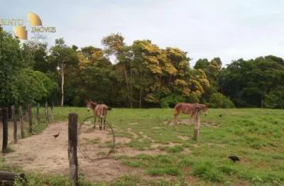 Fazenda à venda, 48368000 m² por r$ 52.000.000,00 - zona rural - gaúcha do norte/mt