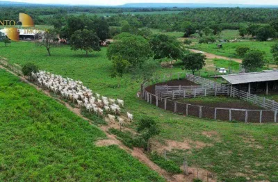 Fazenda à venda, 30000000 m² por r$ 39.000.000,00 - zona rural - rosário oeste/mt