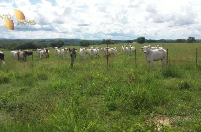 Fazenda à venda, 12340000 m² por r$ 25.000.000,00 - zona rural - nova brasilândia/mt