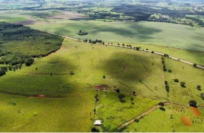 Fazenda à venda, 3800000 m² por r$ 7.500.000,00 - zona rural - guiratinga/mt