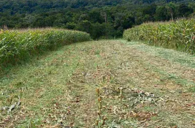 Fazenda à venda, 32700000 m² por r$ 55.590.000,00 - zona rural - cáceres/mt