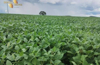 Fazenda à venda, 9640000 m² por r$ 30.000.000,00 - zona rural - planalto da serra/mt