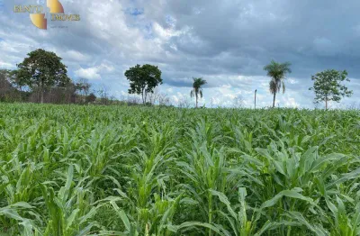 Fazenda à venda, 2000000 m² por r$ 2.600.000,00 - zona rural  - várzea grande/mt