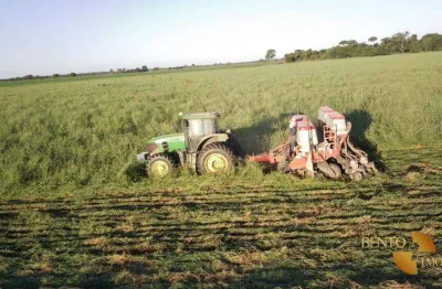 Fazenda à venda, 53240000 m² por r$ 495.000.000 - zona rural - jussara/go