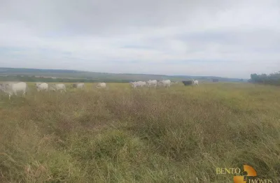 Fazenda à venda, 3520000 m² por r$ 16.000.000,00 - rural - campo verde/mt