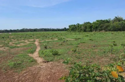 Fazenda à venda, 5150000 m² por r$ 15.000.000,00 - zona rural - nobres/mt
