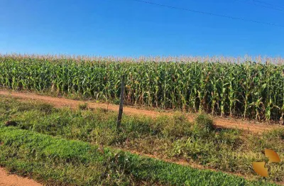 Fazenda à venda, 5040000 m² por r$ 16.000.000,00 - setor residencial boa vista - rondonópolis/mt