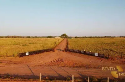 Fazenda à venda, 22000000 m² por R$ 22.000.000,00 - Zona Rural - Campo Novo do Parecis/MT