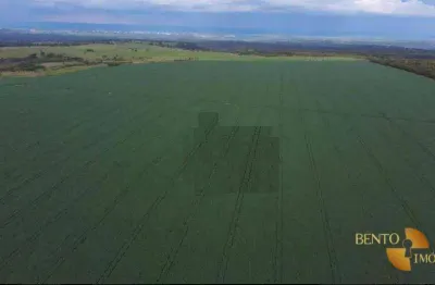 Fazenda à venda, 2200000 m² por r$ 19.000.000,00 - zona rural - jaciara/mt