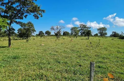 Fazenda à venda, 20037600 m² por r$ 66.000.000 - zona rural - caiaponia/go