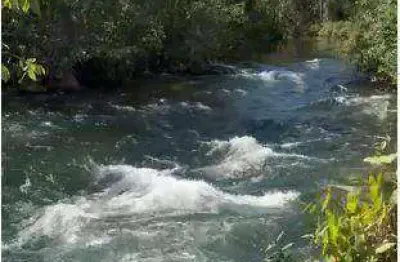 11. fazenda com cultivo tecnológico.' 12. '*solo fértil:* terra pronta para plantio de alta produtividad