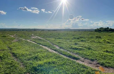 Fazenda à venda, 17520000 m² por r$ 33.000.000,00 - tesouro  - tesouro/mt