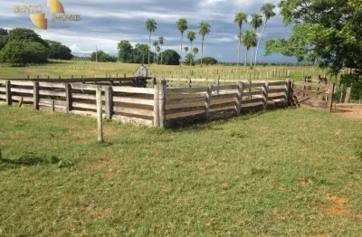 Fazenda em poconé à venda, 66600000 m² por r$ 35.000.000 - zona rural - poconé/mt