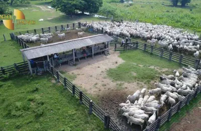 Fazenda à venda, 60000000 m² por r$ 12.000.000,00 - zona rural - poconé/mt
