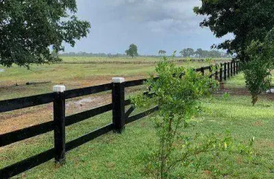 Fazenda à venda, 3300000 m² por r$ 7.000.000,00 - centro - poconé/mt