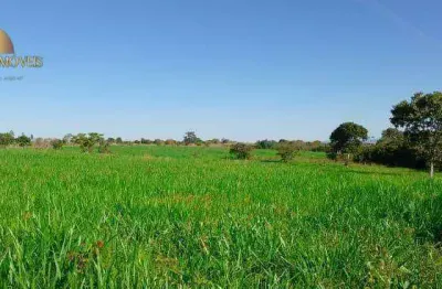 Fazenda na região de poconé à venda, 10000000 m² por r$ 20.000.000 - centro - poconé/mt