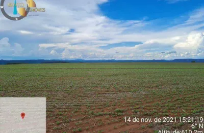 Fazenda à venda, 24360000 m² por r$ 23.000.000,00 - joão de barro - pedra preta/mt