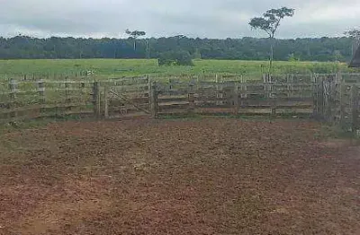 Fazenda à venda, 15890000 m² por r$ 36.000.000,00 - novo horizonte - paranatinga/mt
