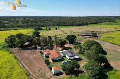 Fazenda, 6320000 m² - venda por r$ 24.500.000 ou arrendamento - zona rural - poconé/mt