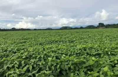 Fazenda à venda na zona rural, santa terezinha , 11111 m2 por r$ 800.000.000