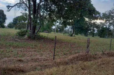 Fazenda à venda, 34980000 m² por r$ 149.000.000,00 - zona rural - barra do bugres/mt