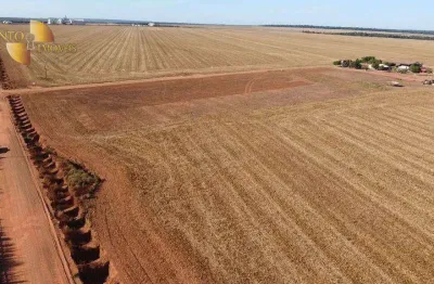 Fazenda à venda, 24300000 m² por r$ 144.500.000,00 - zona rural - nova ubiratã/mt
