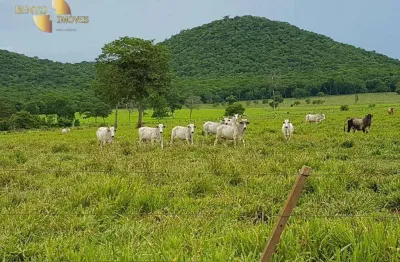 Fazenda à venda, 343850000 m² por r$ 364.920.000,00 - zona rural - cuiabá/mt