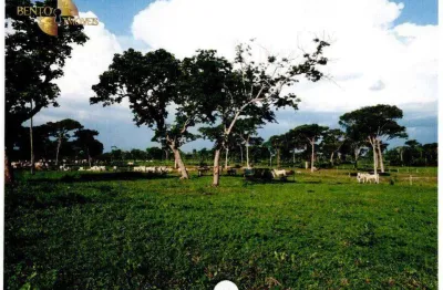 Fazenda à venda, 99850000 m² por r$ 80.000.000,00 - ribeirão do lipa - cuiabá/mt