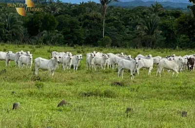 Fazenda à venda, 1740000 m² por r$ 4.700.000,00 - zona rural - cuiabá/mt