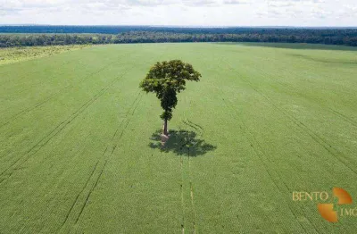 Fazenda à venda, 50500000 m² por r$ 242.000.000,00 - zona rural - porto dos gaúchos/mt