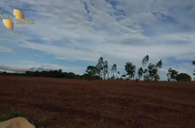 Sítio com 2 dormitórios à venda, 450000 m² por r$ 1.150.000,00 - zona rural - acorizal/mt